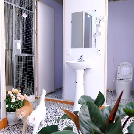 Lazy Cat Homestay - Motorbikes Rental & Tours Ha Giang Exterior photo