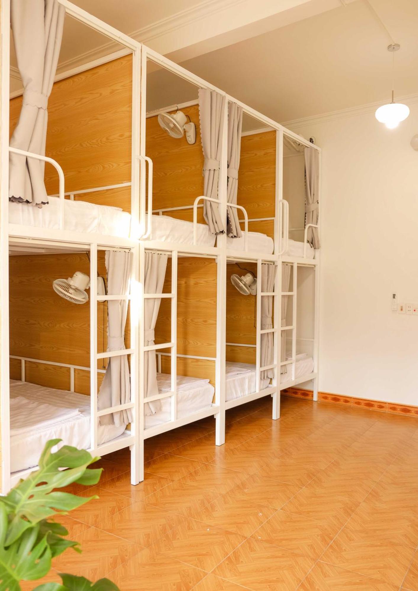 Hostel Lazy Cat - Motorbikes & Tours *